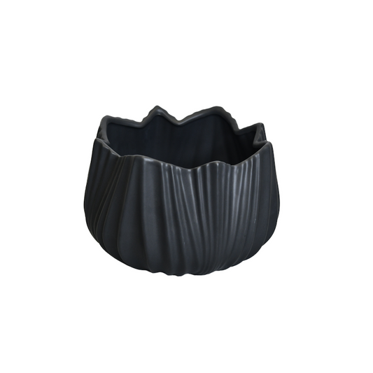 Midnight Snack Container (But For Plants)